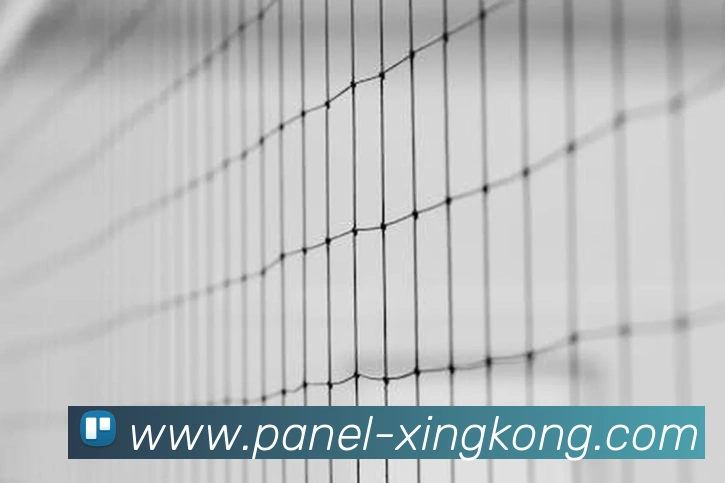 星空体育品牌故事