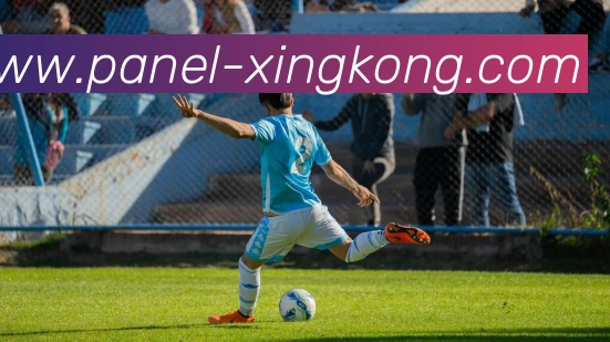 星空体育服务体系